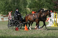 IMG_0012