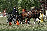 IMG_0013