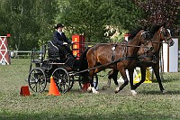 IMG_0014