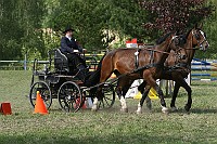 IMG_0015
