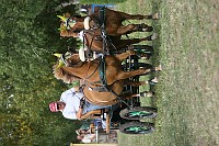 IMG_0019