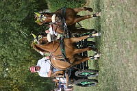 IMG_0020