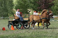 IMG_0026