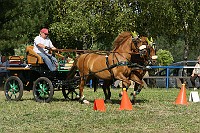 IMG_0028