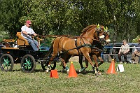 IMG_0029