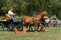 IMG_0030