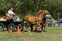 IMG_0031