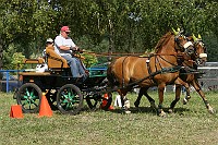 IMG_0033