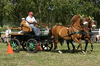 IMG_0034