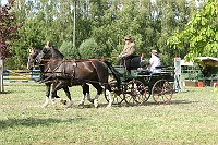 IMG_0036