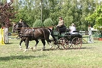 IMG_0037