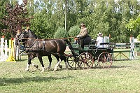 IMG_0038