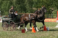 IMG_0041