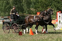 IMG_0042