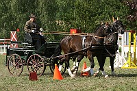 IMG_0043