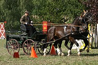 IMG_0044