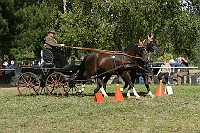 IMG_0045