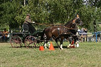 IMG_0046