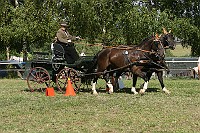 IMG_0048