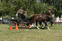IMG_0049