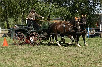 IMG_0051