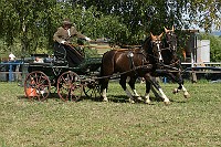 IMG_0052