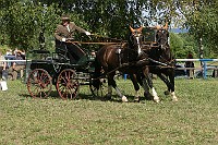 IMG_0054