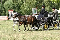 IMG_0055