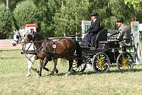 IMG_0056