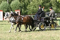 IMG_0057
