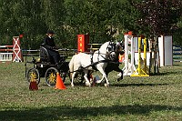 IMG_0058