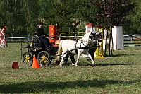 IMG_0059