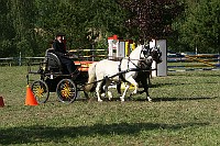 IMG_0060