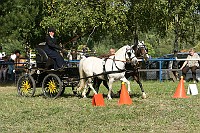 IMG_0063