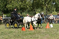IMG_0064