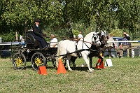IMG_0065