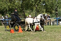 IMG_0066
