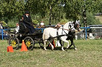 IMG_0067