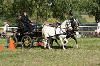 IMG_0068