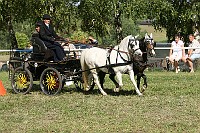 IMG_0069