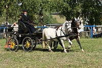 IMG_0070