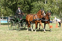 IMG_0071