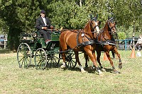 IMG_0073