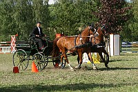 IMG_0076