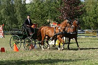 IMG_0077