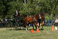 IMG_0078