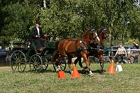 IMG_0079
