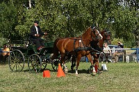 IMG_0080