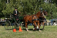 IMG_0081
