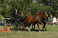 IMG_0082